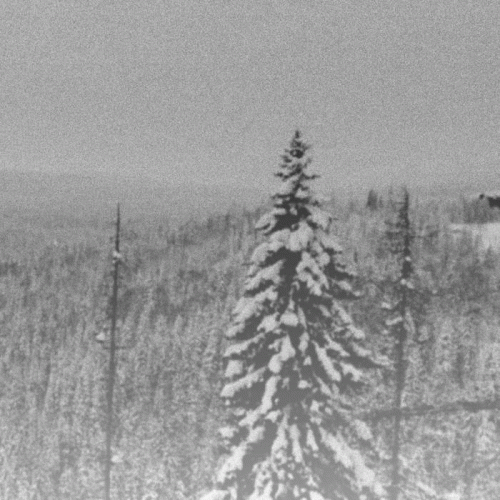 Vintlechkeit : Isete Skoger Frostskymring...